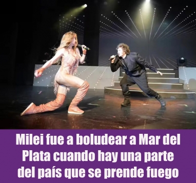 Milei fue a boludear a Mar del Plata cuando hay una parte del país que se prende fuego